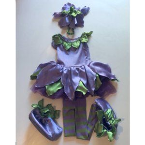 Gymboree Fairy Costume size 12-18 months